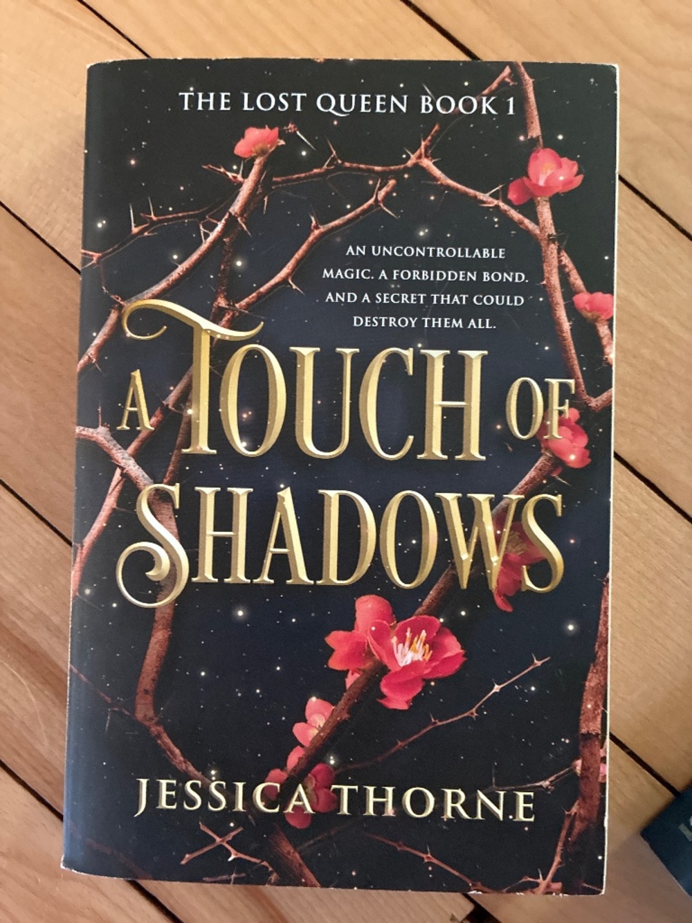 A touch of shadows by Jessica Thorne